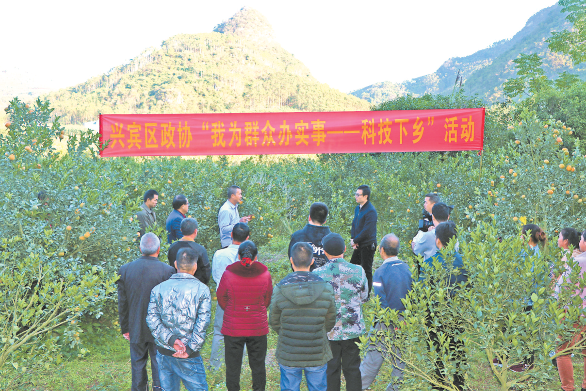 3兴宾区政协组织机关干部、农业技术人员.png